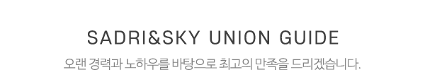 남북통일사다리스카이연합_작업사진_제목